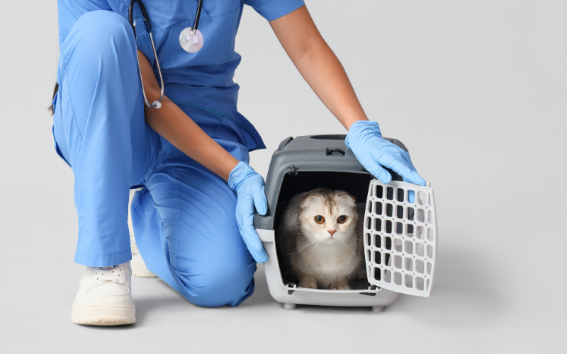Medical Care Hero